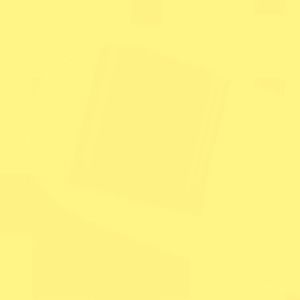 Meet your Posher, Kailey